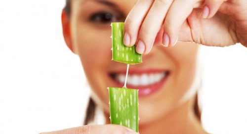 Cách Làm Trắng Răng Với Cây Nha Đam Tại Nhà